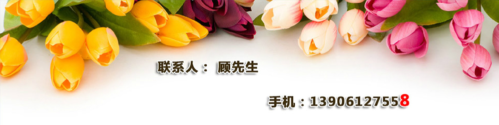 banner03